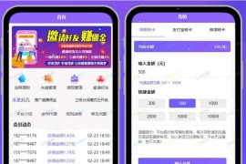 京东淘宝智能自动抢单系统源码V8版本运营版