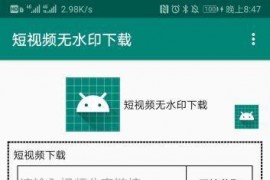 抖音、快手、微视、皮皮虾、最右无水印下载APP 