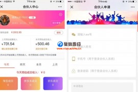 老虎微信淘宝V6.0.65+6合1至尊版+团队合伙人系统+优惠券+多多进宝全部插件（星狼已测试）