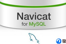 navicat for mysql中文版破解免费下载实测可用