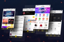 助推宝V1.094源码安装包含插件全开源运营版（星狼已测试）