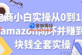 电商小白实操从0到1跑通amazon亚⻢逊闭环并赚到一块钱全套实操