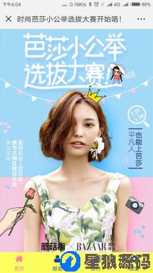 螃蟹投票1.9.3全模板安装更新一体包全功能开源版（星狼已测试） 第12张