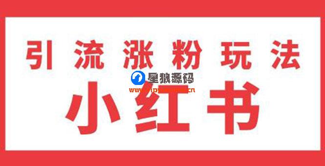 雨果：不用写文章，不用拍照片，小红书另类引流涨粉玩法（视频课程）无水印 第1张
